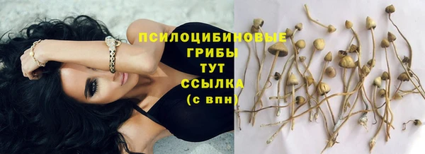 мяу мяу мука Белокуриха