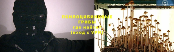 мяу мяу мука Белокуриха