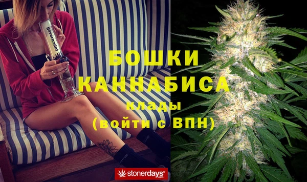 мяу мяу мука Белокуриха